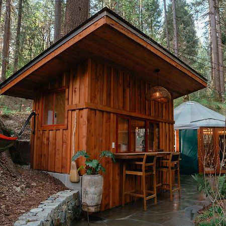 Hotel Magical Yurt In The Woods - 2 Miles From Town Nevada City Exterior foto